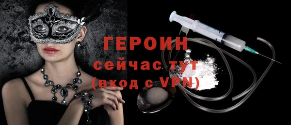 хмурый Алексин