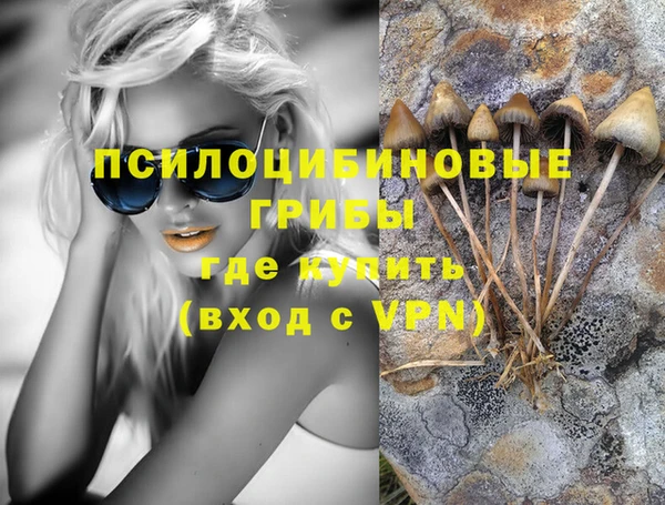 хмурый Алексин