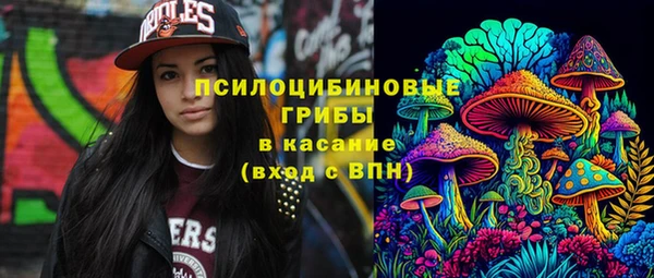хмурый Алексин