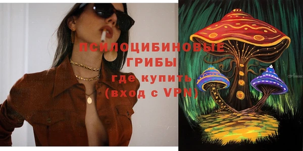 хмурый Алексин
