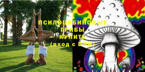 ешки Няндома